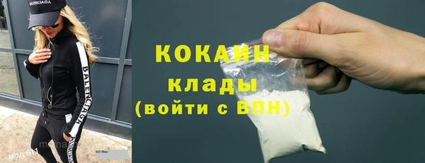стафф Арсеньев