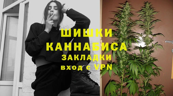 стафф Арсеньев