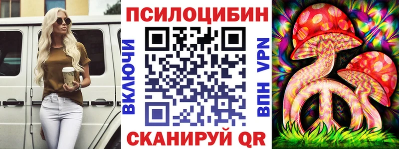 Галлюциногенные грибы Psilocybine cubensis  Муравленко 